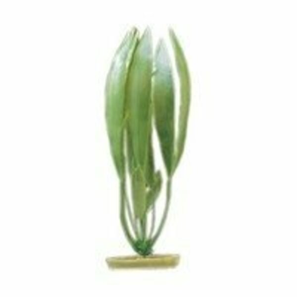 Marina Aquascaper Amazon Sword Plant 12 Inch 11587B